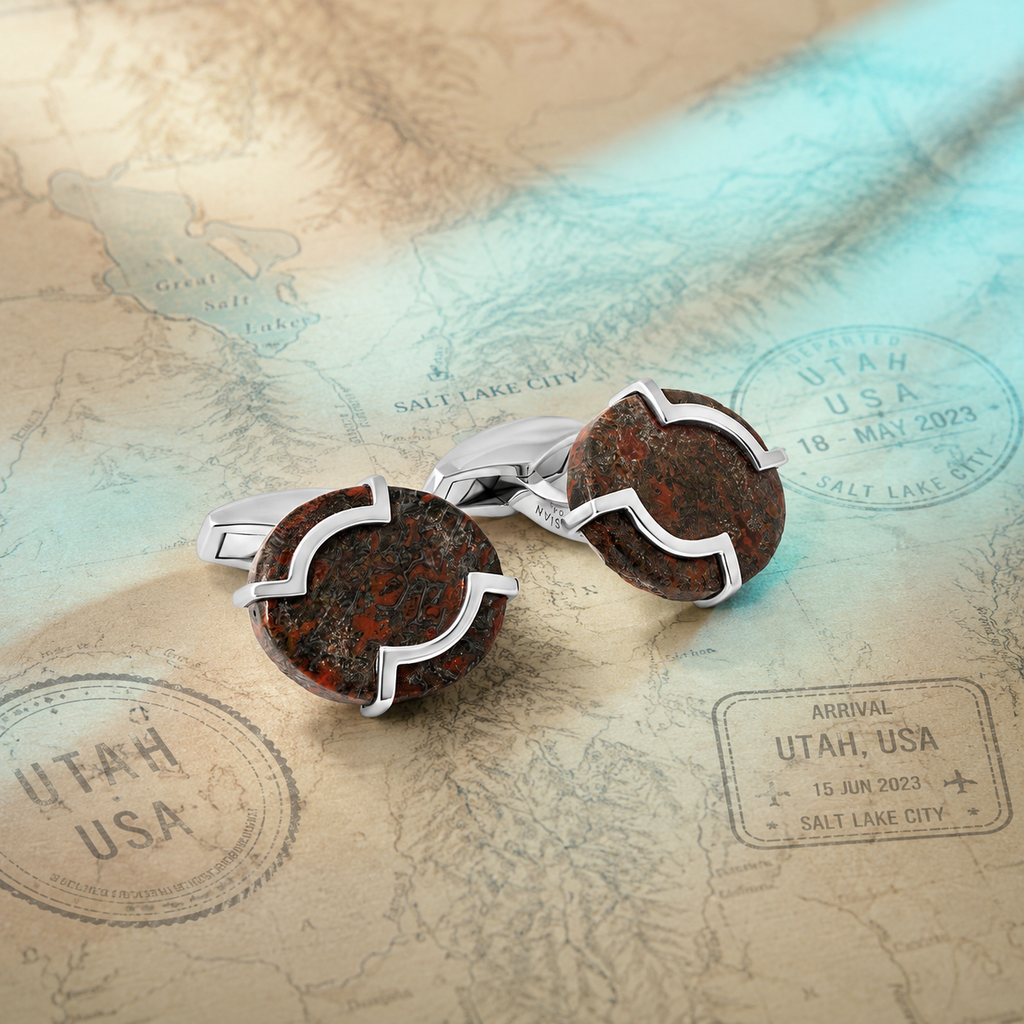 Brown Dinosaur Bone Cufflinks