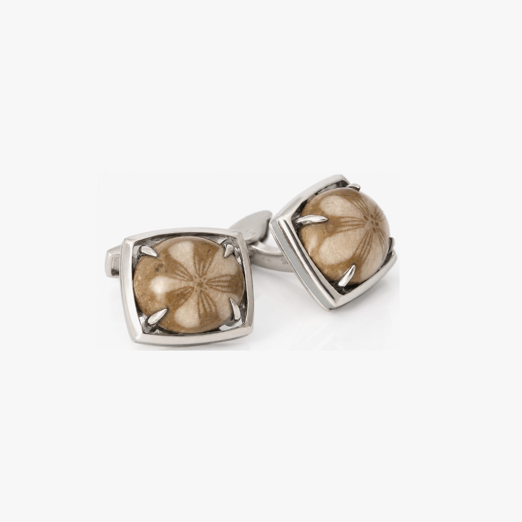 Fossil Sand Dollar Sterling Silver Cufflinks | Limited Edition