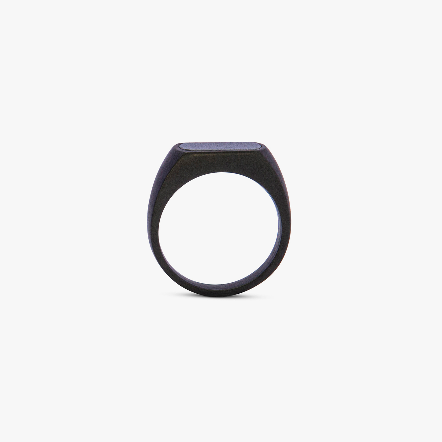 Black IP stainless steel RT Signet ring with hematite